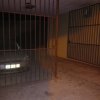 dia 2 de Maio de 2023 1.26